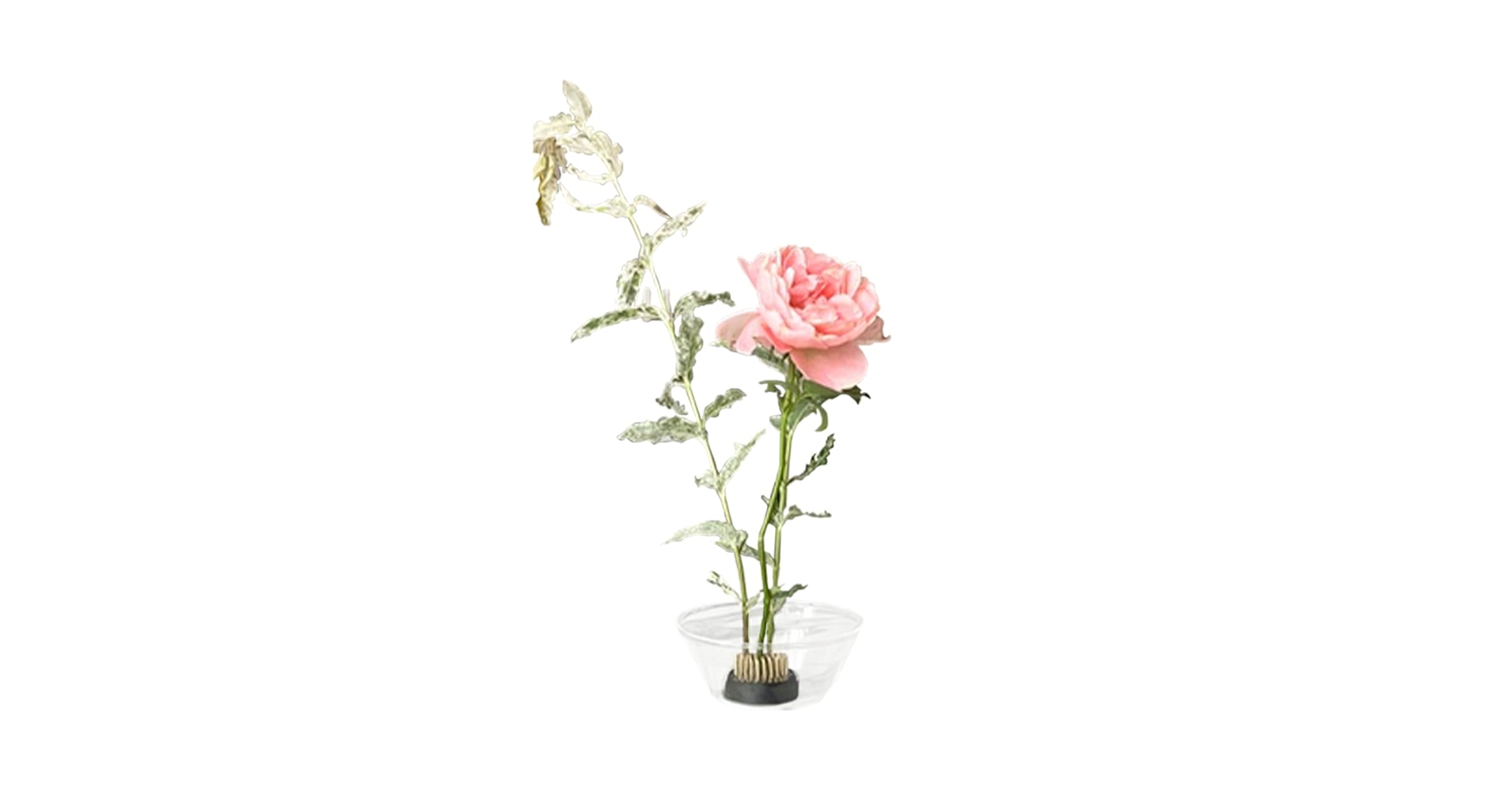 a57 花器 花瓶 フラワーベース フラワーアレンジメント 一輪挿し 生け花 Amazon.co.jp: YUYAKESHI ガラス容器 フラワーベース 剣山